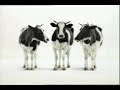 milch bringt dich in schwung milch bringt dich in schwung