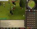 i wub dds pking vid1 (short)