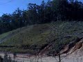 peachester21
