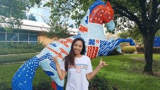 Why #UTA20 Chose UTA