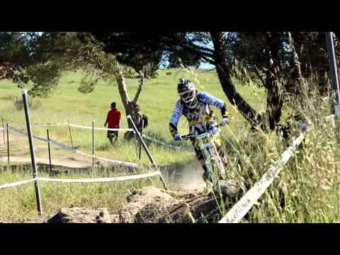 chain reaction cycles