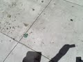 taking bendy iphone photos