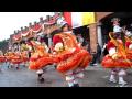 Aalst Carnaval 2010De Zieke Zjieratten&2x0