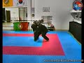 0033 Hapkido - EMRL - rasteira com chave de perna