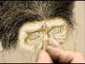 Draw & Paint Wildlife with Pastel Pencils One - Part One