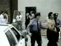 videos de Tiger claws- part 11