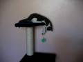 videos de Milly the Kitten