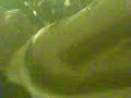 rap,,