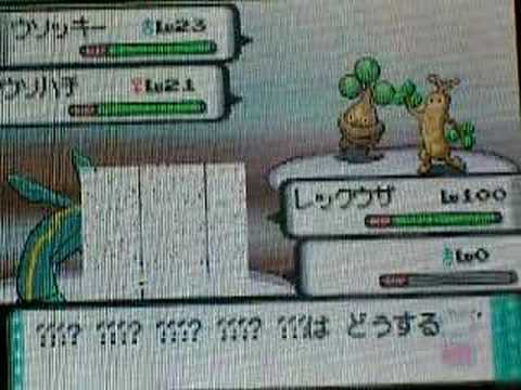 ポケモンＤＰレストランバグ