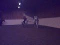 Dressage / Vasaria 6-9