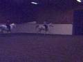 videos de Dressage / Vasaria 6-9