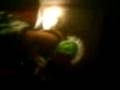 videos de VICA DE ANTRO
