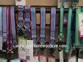 Online Jupiter puppy dog video supplies food products cats p Online Jupiter puppy dog video supplies food products cats p