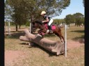 poney exeptionnel poney exeptionnel