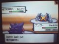 #6 Pokemon Wifi battle vs. someone from the same forum as #4's Wifi battle Part 2