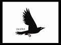 Like A Bird