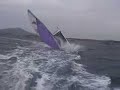 hobie cat 16 sport