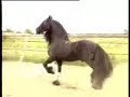 without tone :(I got it at my friends maeve3000 computer. I'M a friesian fan like maeve3000 is because of this i take it from her.today she send me a message if I can ulpoad it, her download don't work.