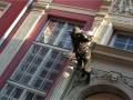videos de FETA 2008 Carnage Productions 