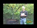 Compost Test part 3 Compost Test part 3