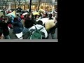 Giant Pillow-Fight (Montreal)