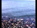tirebolu-k-rliman-sahilden-deniz-.html