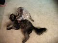 Maia and Xiqa Get Down Maia and Xiqa Get Down