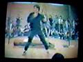 Wing Chun Biu Gee - William Cheung