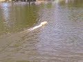 aquacraft TOPSPEED 2 FAST RUN