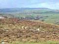 Brecon Beacons Panorama