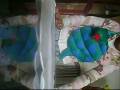 Uma aventura pela floresta.wmv