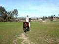 Riding Trix Bareback In The Pasture.