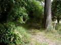 videos de Rando 220608