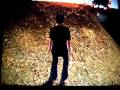 Skate 2 glitch 2 (Go in the Danny Way park when is clouse)