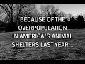 PSA - Kansas Humane Society PSA - Kansas Humane Society