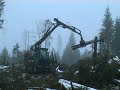 foresting - Machines in the forest