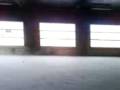 dunedin,empty,floor