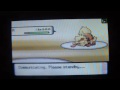 Pokémon Wifi Battle No. 35 vs AnnieCarrots (Christmas/Birthday Special)