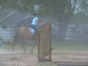 Carolina Sport Horses BCS Dun Dancing Dun AQHA for sale