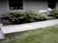 videos de boneless 180 off stairs