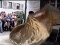 Saahira dancing with Isis Wings