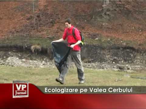 Ecologizare pe Valea Cerbului