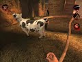 cow hunting on postal 2!!