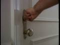 videos de Touching Bellini