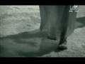 cradle of filth-her ghost in the fog.DAT