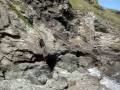 videos de The Burge Family at Tintagel Castle, Cornwall