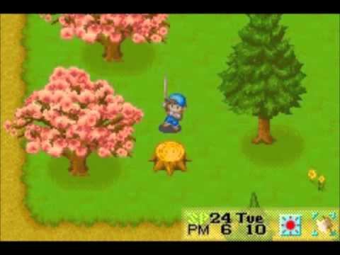 how to get power berries at harvest moon