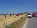 ENCERRO ADP-RAIA ENCERRO ADP-RAIA