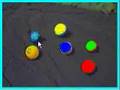 Color Calibration Software - Frozen Cameleon