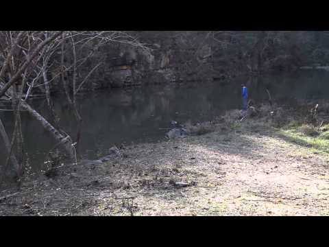 Hunting and Timber with a Lake
